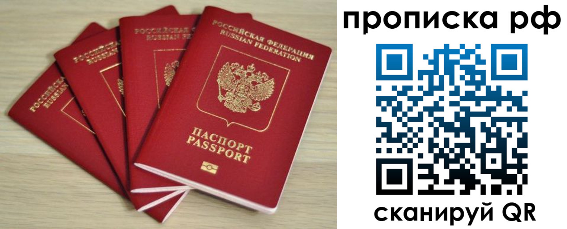 временная регистрация гарантия в Палласовке